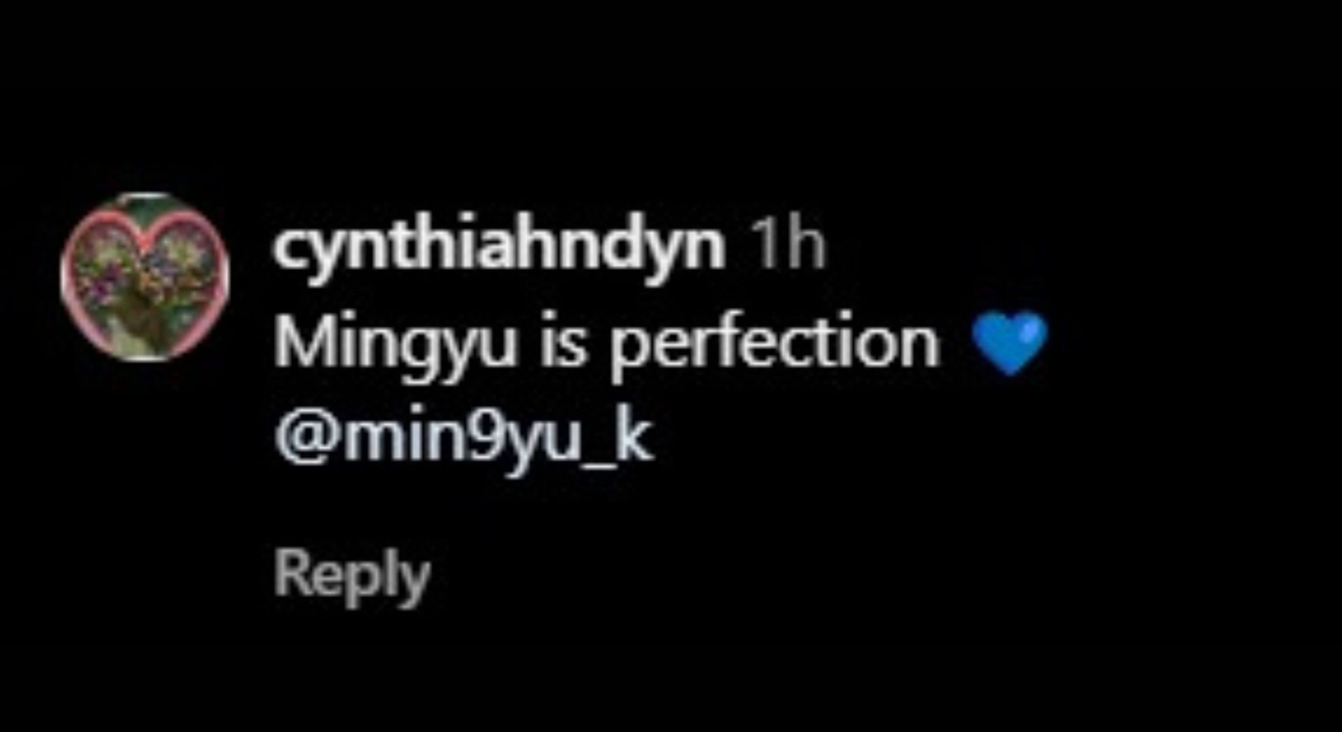 Fan reaction on Seventeen Mingyu’s look (Image via Instagram/@cosmopolitankorea)